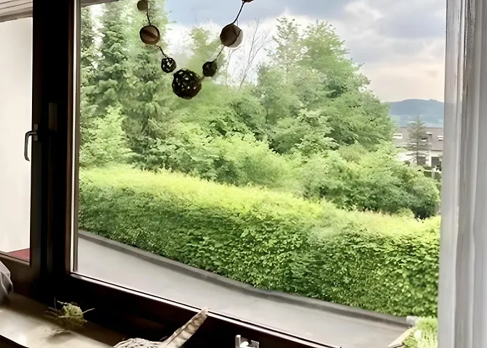 Ferienhaus Mit Garten Sundern